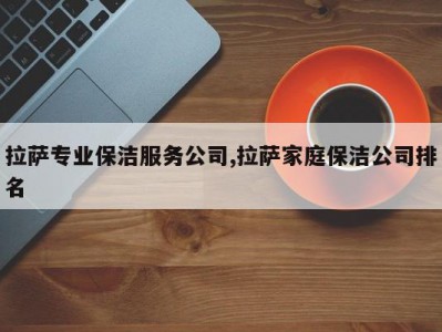 拉萨专业保洁服务公司,拉萨家庭保洁公司排名