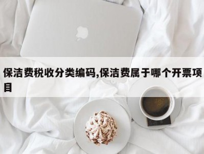 保洁费税收分类编码,保洁费属于哪个开票项目