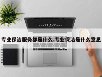 专业保洁服务都是什么,专业保洁是什么意思