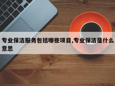 专业保洁服务包括哪些项目,专业保洁是什么意思