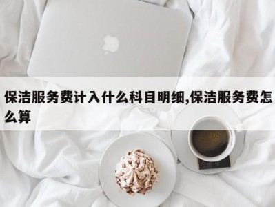 保洁服务费计入什么科目明细,保洁服务费怎么算