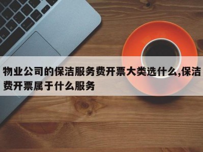 物业公司的保洁服务费开票大类选什么,保洁费开票属于什么服务