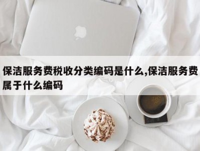 保洁服务费税收分类编码是什么,保洁服务费属于什么编码