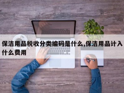 保洁用品税收分类编码是什么,保洁用品计入什么费用