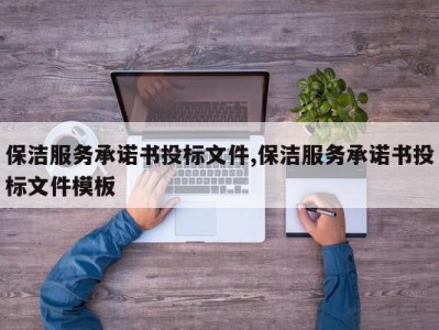 保洁服务承诺书投标文件,保洁服务承诺书投标文件模板