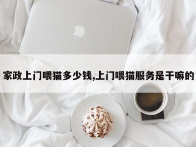 家政上门喂猫多少钱,上门喂猫服务是干嘛的