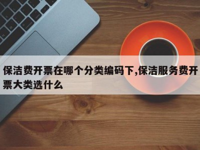 保洁费开票在哪个分类编码下,保洁服务费开票大类选什么