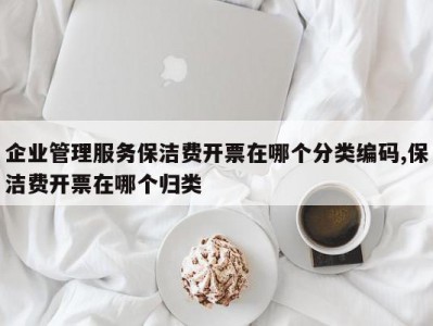 企业管理服务保洁费开票在哪个分类编码,保洁费开票在哪个归类